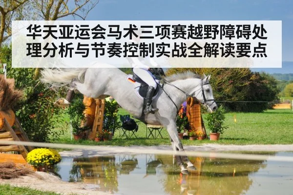 equestrian cross country jumping