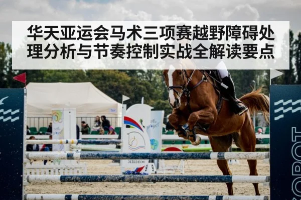 horse jumping obstacle